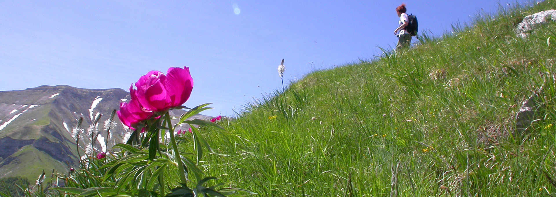 Typical Products of The Sibillini Mountains